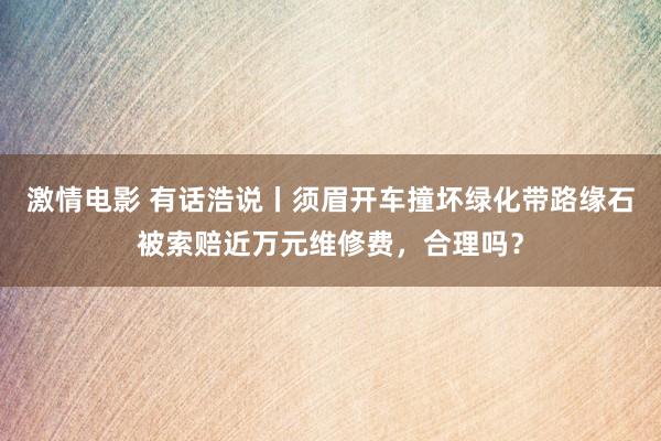 激情电影 有话浩说丨须眉开车撞坏绿化带路缘石被索赔近万元维修费，合理吗？