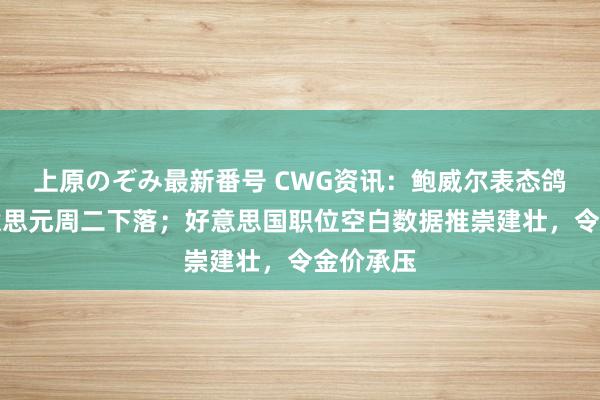 上原のぞみ最新番号 CWG资讯：鲍威尔表态鸽派，好意思元周二下落；好意思国职位空白数据推崇建壮，令金价承压