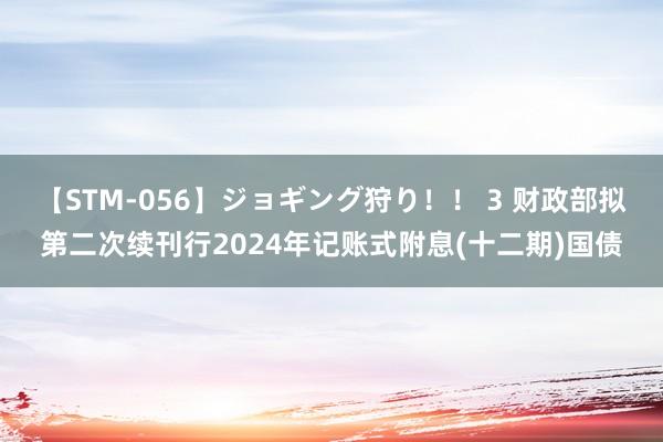 【STM-056】ジョギング狩り！！ 3 财政部拟第二次续刊行2024年记账式附息(十二期)国债