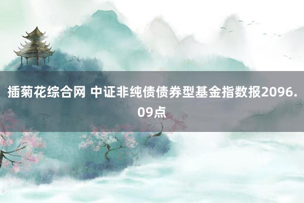 插菊花综合网 中证非纯债债券型基金指数报2096.09点