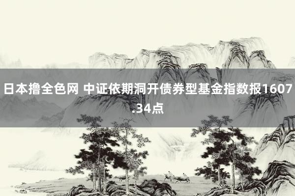 日本撸全色网 中证依期洞开债券型基金指数报1607.34点