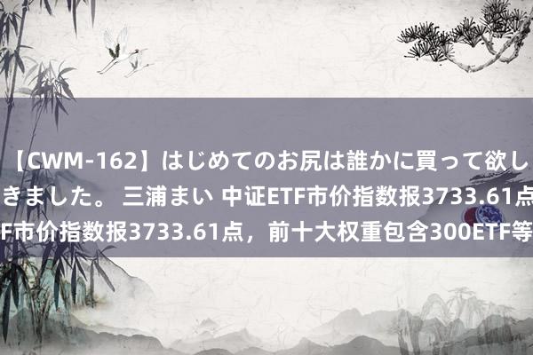 【CWM-162】はじめてのお尻は誰かに買って欲しくて今日までとっておきました。 三浦まい 中证ETF市价指数报3733.61点，前十大权重包含300ETF等