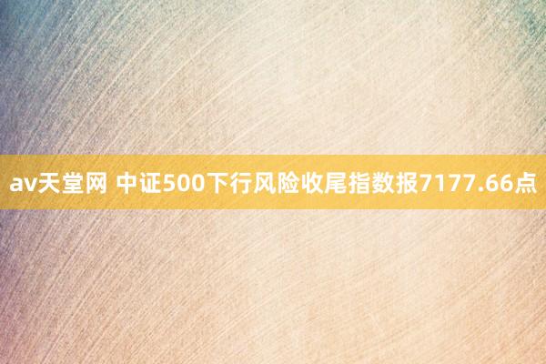 av天堂网 中证500下行风险收尾指数报7177.66点