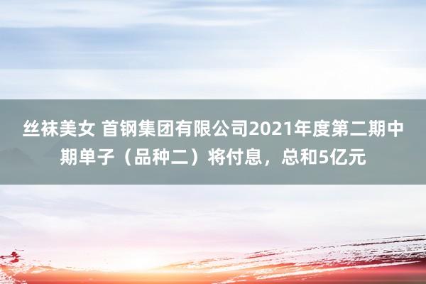 丝袜美女 首钢集团有限公司2021年度第二期中期单子（品种二）将付息，总和5亿元