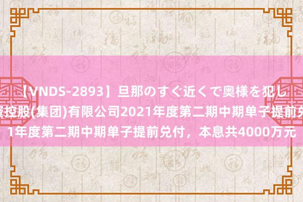 【VNDS-2893】旦那のすぐ近くで奥様を犯します。 合肥市产业投资控股(集团)有限公司2021年度第二期中期单子提前兑付，本息共4000万元