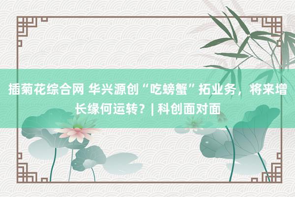 插菊花综合网 华兴源创“吃螃蟹”拓业务，将来增长缘何运转？| 科创面对面