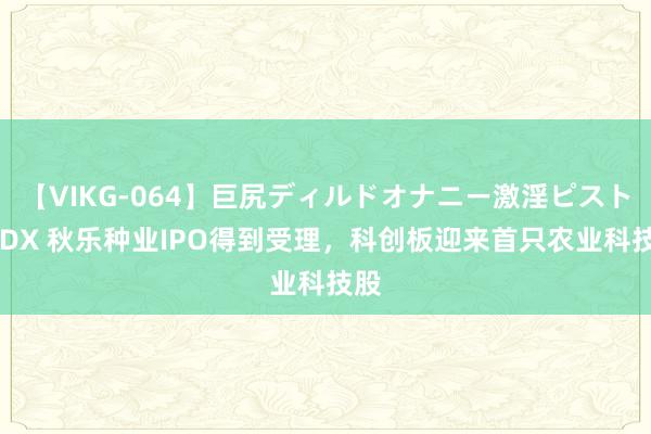 【VIKG-064】巨尻ディルドオナニー激淫ピストン DX 秋乐种业IPO得到受理，科创板迎来首只农业科技股