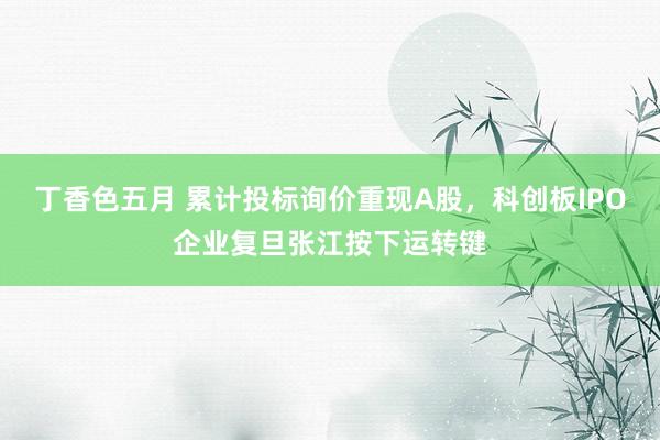 丁香色五月 累计投标询价重现A股，科创板IPO企业复旦张江按下运转键