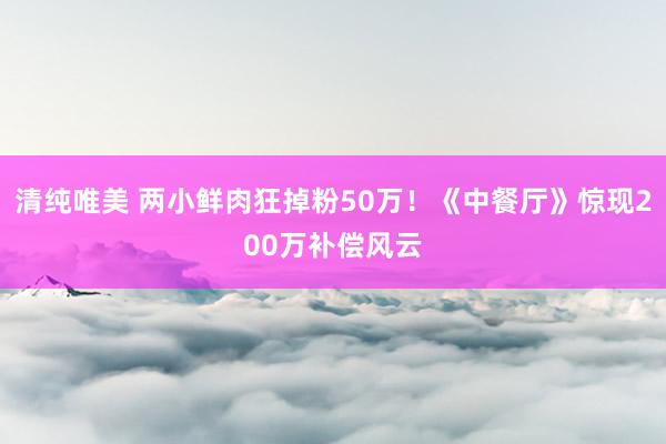 清纯唯美 两小鲜肉狂掉粉50万！《中餐厅》惊现200万补偿风云