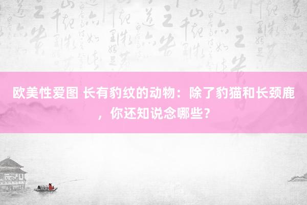 欧美性爱图 长有豹纹的动物：除了豹猫和长颈鹿，你还知说念哪些？