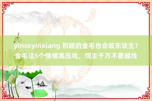 yinseyinxiang 和睦的金毛也会咬东谈主？金毛这5个情绪高压线，饲主千万不要越线