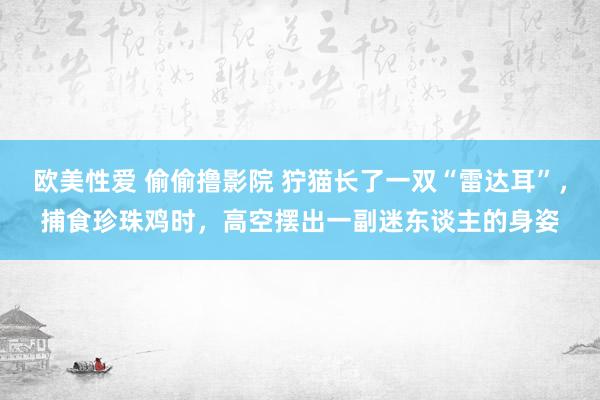 欧美性爱 偷偷撸影院 狞猫长了一双“雷达耳”，捕食珍珠鸡时，高空摆出一副迷东谈主的身姿