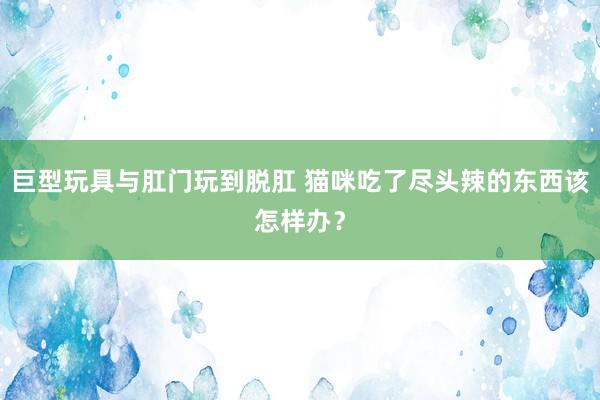 巨型玩具与肛门玩到脱肛 猫咪吃了尽头辣的东西该怎样办？