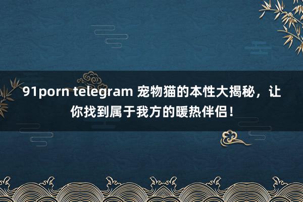 91porn telegram 宠物猫的本性大揭秘，让你找到属于我方的暖热伴侣！