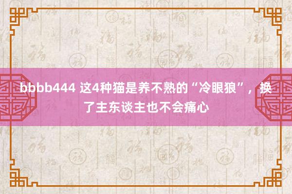 bbbb444 这4种猫是养不熟的“冷眼狼”，换了主东谈主也不会痛心