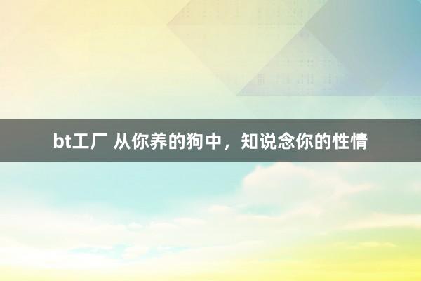 bt工厂 从你养的狗中，知说念你的性情