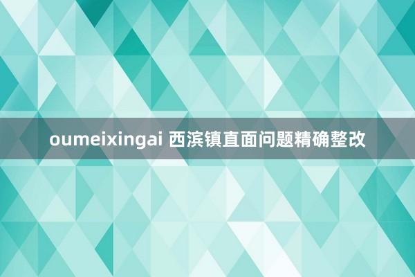 oumeixingai 西滨镇直面问题精确整改