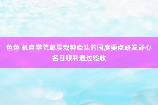 色色 机自学院彭晨栽种牵头的国度要点研发野心名目顺利通过验收