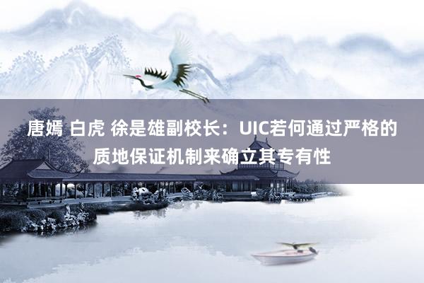 唐嫣 白虎 徐是雄副校长：UIC若何通过严格的质地保证机制来确立其专有性